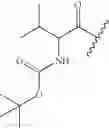 Fig. 23 - Acylated and non-acylated imidazo[2,1-b]-1,3,4,-thiadiazole-2-sulfonamides, and uses thereof