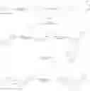 Fig. 46 - Triazole PPAR modulators