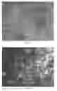 Fig. 02 - Broad spectrum antibacterial compounds