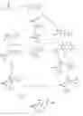 Fig. 01 - Biaromatic compounds which activate PPARγ-type receptors and cosmetic/pharmaceutical compositions comprised thereof