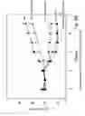 Fig. 08 - Use of a fatty acid composition comprising at least one of EPA and DHA or any combinations thereof