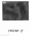 Fig. 07 - Halogen containing-polymer nanocomposite compositions, methods, and products employing such compositions