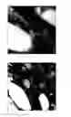 Fig. 02 - Thermoplastic method, composition, and article