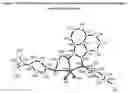 Fig. 07 - Diimine metal complexes, methods of synthesis, and method of using in oligomerization and polymerization