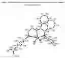 Fig. 08 - Diimine metal complexes, methods of synthesis, and method of using in oligomerization and polymerization