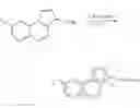 Fig. 30 - Metallocene compounds
