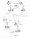 Fig. 45 - Detection of biomolecules by sensitizer-linked substrates