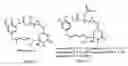 Fig. 02 - Process for preparation of maytansinol