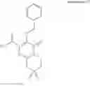 Fig. 45 - HIV integrase inhibitors
