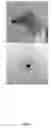 Fig. 08 - Secondary process for radioactive chloride deweaponization and storage