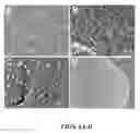 Fig. 07 - Swellable sol-gels, methods of making, and use thereof