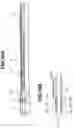 Fig. 18 - Electric bending endoscope