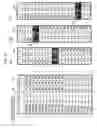Fig. 06 - Ultrasonic imaging apparatus