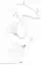 Fig. 02 - Enteral feeding set