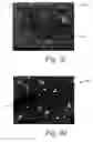 Fig. 12 - Deposition of discrete nanoparticles on an implant surface