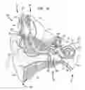 Fig. 02 - Automatic measurement of neural response concurrent with psychophysics measurement of stimulating device recipient