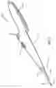 Fig. 02 - Delivery system for medical devices