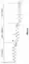Fig. 06 - ENDOLUMINAL VASCULAR PROSTHESIS