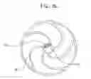 Fig. 11 - Stent with spiral side-branch support designs