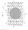 Fig. 02 - Stent with spiral side-branch