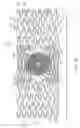 Fig. 22 - Stent with spiral side-branch