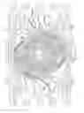Fig. 27 - Stent with spiral side-branch