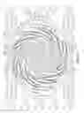 Fig. 29 - Stent with spiral side-branch