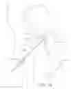 Fig. 08 - BALL AND SHAFT OF JOINT PROTHESIS