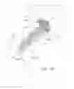 Fig. 15 - BALL AND SHAFT OF JOINT PROTHESIS