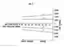 Fig. 09 - Method and device for measuring wheel alignment of automobile