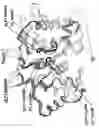 Fig. 02 - Ligands for 17i as modulators of orthopox viruses and methods for discovery thereof