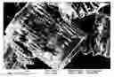 Fig. 01 - Methods for fabricating micro-to-nanoscale devices via biologically-induced solid formation on biologically-derived templates, and micro-to-nanoscale structures and micro-to-nanoscale devices made thereby