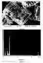 Fig. 02 - Methods for fabricating micro-to-nanoscale devices via biologically-induced solid formation on biologically-derived templates, and micro-to-nanoscale structures and micro-to-nanoscale devices made thereby