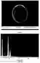 Fig. 07 - Methods for fabricating micro-to-nanoscale devices via biologically-induced solid formation on biologically-derived templates, and micro-to-nanoscale structures and micro-to-nanoscale devices made thereby