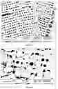 Fig. 08 - Methods for fabricating micro-to-nanoscale devices via biologically-induced solid formation on biologically-derived templates, and micro-to-nanoscale structures and micro-to-nanoscale devices made thereby