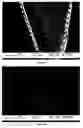 Fig. 09 - Methods for fabricating micro-to-nanoscale devices via biologically-induced solid formation on biologically-derived templates, and micro-to-nanoscale structures and micro-to-nanoscale devices made thereby