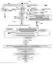 Fig. 09 - System of interactive dictionary