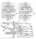 Fig. 16 - System of interactive dictionary