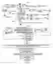 Fig. 23 - System of interactive dictionary
