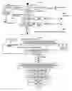 Fig. 24 - System of interactive dictionary