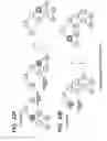 Fig. 28 - Information processing apparatus, information processing method and program