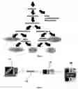 Fig. 03 - Method of bidding on the construction and installation of a fire alarm or security system