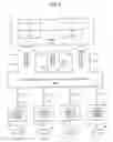 Fig. 09 - Disposition of proprietary virtual rights