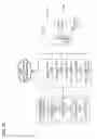 Fig. 43 - Disposition of proprietary virtual rights