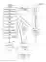 Fig. 63 - Disposition of proprietary virtual rights