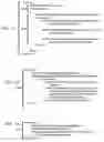 Fig. 08 - Meta-data tags used to describe data behaviors