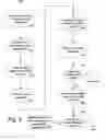 Fig. 09 - Partial XML validation