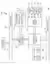 Fig. 02 - ABSTRACTION OF UPnP CONTAINER SYSTEM FOR NON-SEARCHABLE DEVICES