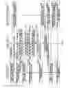 Fig. 11 - Data recording control apparatus