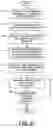 Fig. 06 - Intermediary, source and methods for sharing content